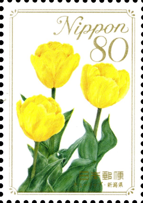 Tulips - Niigata Prefecture