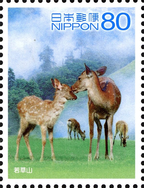 Mount Wakakusa, Sika Deer (Cervus nippon)