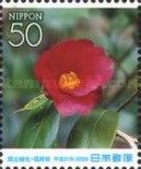 Camellia Japonica L var. Intermedia Tuyama