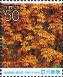 Japanese Horse Chestnut Tree