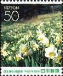 Narcissus - 1