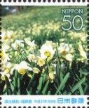 Narcissus - 2