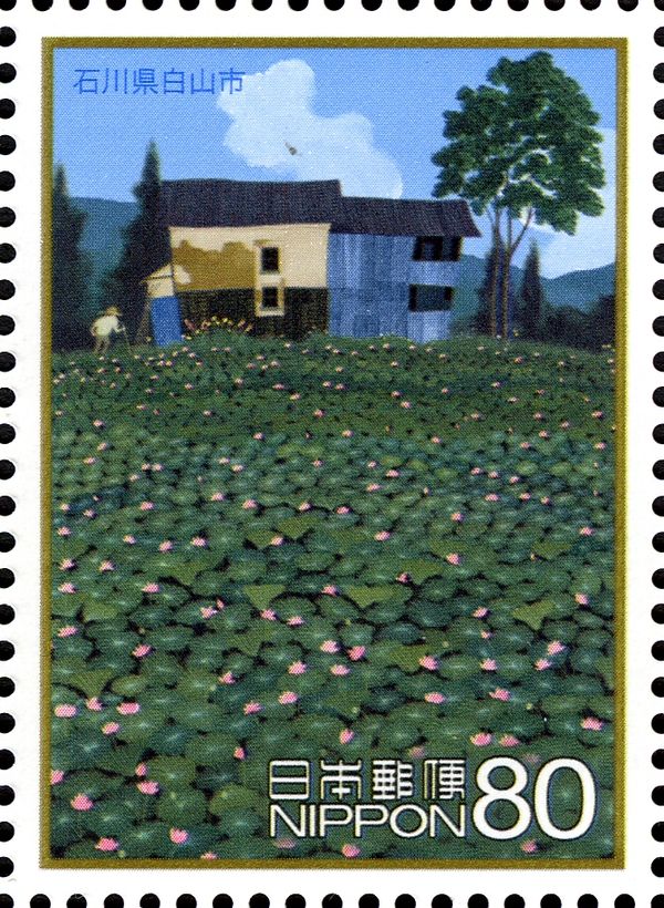 Lotus Flower - Hakusan, Ishikawa Prefecture