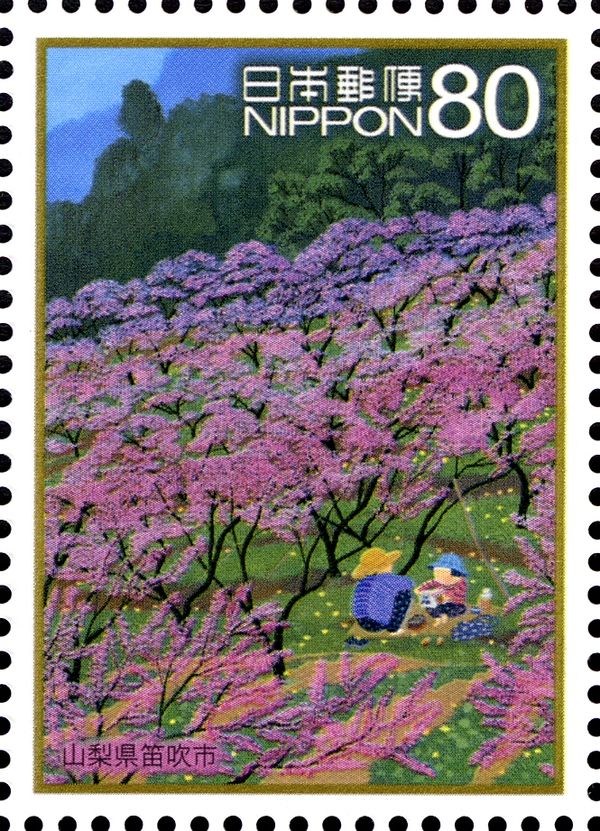 Peach Blossom - Fuefuki, Yamanashi Prefecture