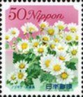 Chrysanthenum japonense - Hyōgo Prefecture