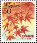 Japanese Maple - Hiroshima