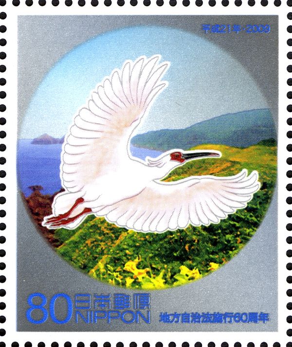 Crested Ibis (Nipponia Nippon), Sado Island