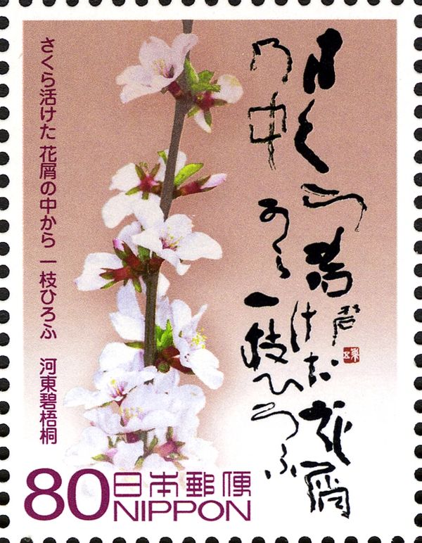 Hekigotō Kawahigashi - Cherry Blossoms (Haiku)