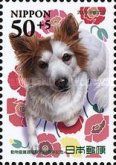 "Poppy" - Hybrid Female Dog from Kumamoto Pref.