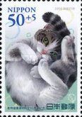 "Vivian" - Female Munchkin Cat from Saitama Pref.