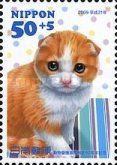 "Moko" - Female Scottish Fold from Tokyo Pref.