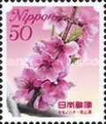Peach Flowers - Okayama Prefecture