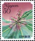 Japanese Bayberry - Kochi Prefecture
