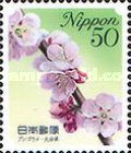 Prunus Mume - Oita Prefecture