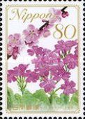 Prunus & Primrose - Osaka Prefecture