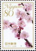 Prunus Mume - Oita Prefecture