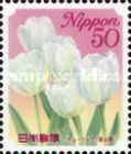 Tulip - Toyama Prefecture
