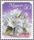 Flower of the Nijsseiki Pear - Tottori Pref.