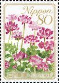 Chinese Milk Vetch - Gifu Prefecture