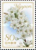 Flower of the Nijsseiki Pear - Tottori Pref.