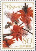 Deigo (Coral Bean) Flower - Okinawa Prefecture