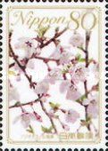 Fuji Cherry (Satsuki Azalea) - Yamanashi Prefecture
