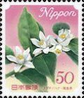 Flower of Citrus Sudachi - Tokushima Prefecture