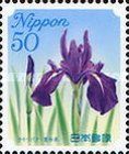 Japanese Iris - Aichi Prefecture