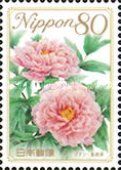Peony - Shimane Prefecture