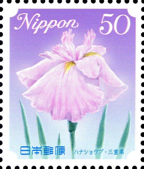 Japanese Iris - Mie Prefecture