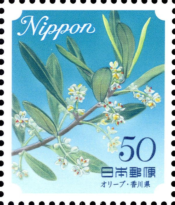 Olive - Kagawa Prefecture