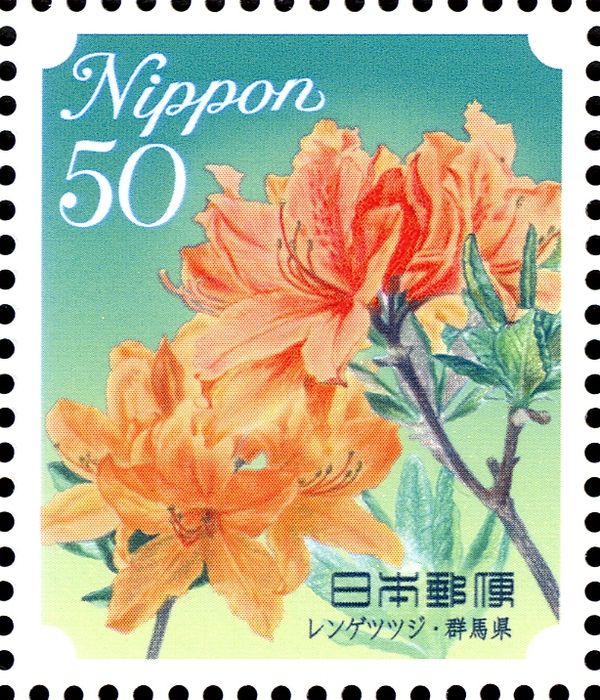 Japanese Azalea - Gunma Prefecture