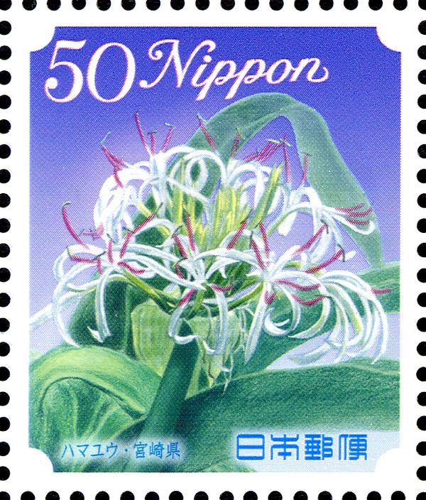 Spider lily - Miyazaki Prefecture