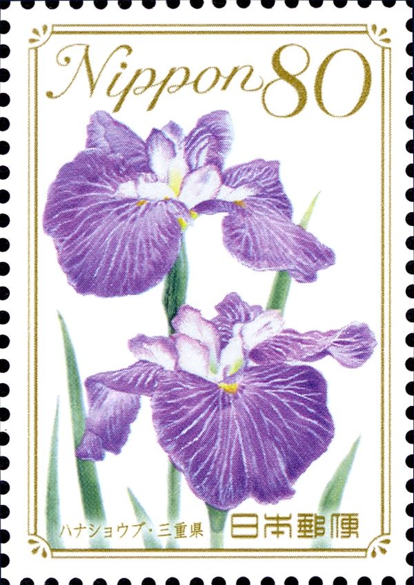 Japanese Iris - Mie Prefecture