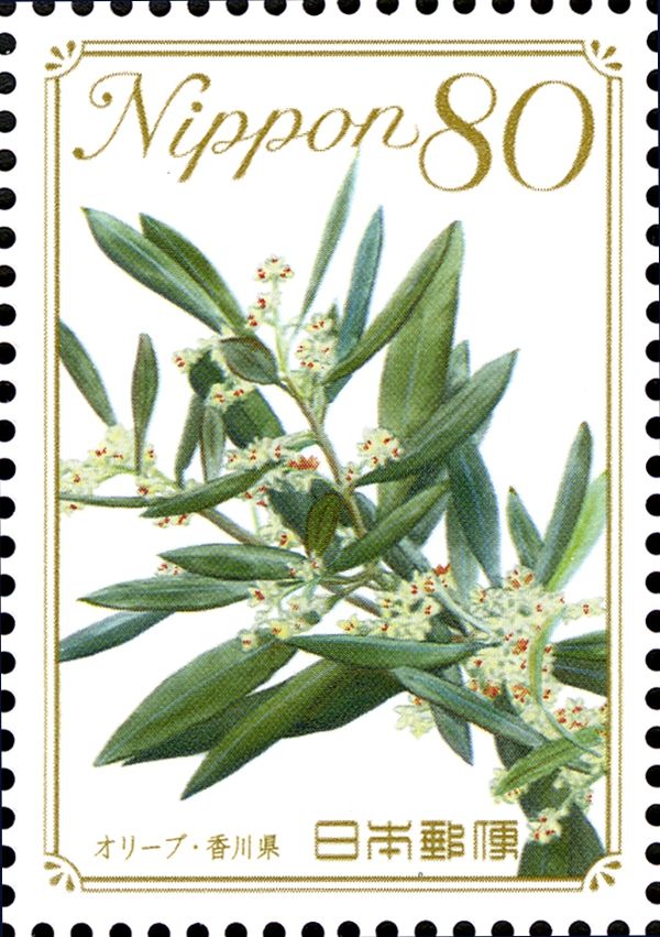 Olive - Kagawa Prefecture