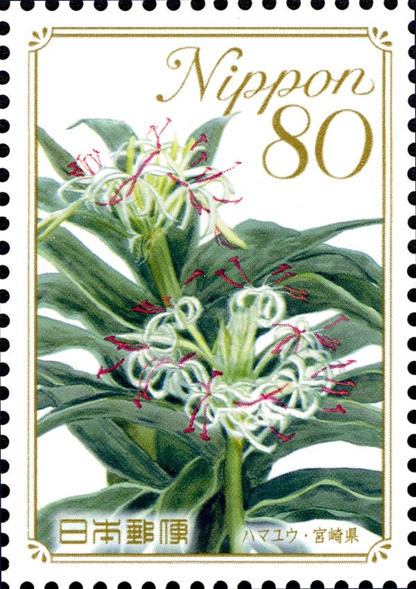 Spider lily - Miyazaki Prefecture
