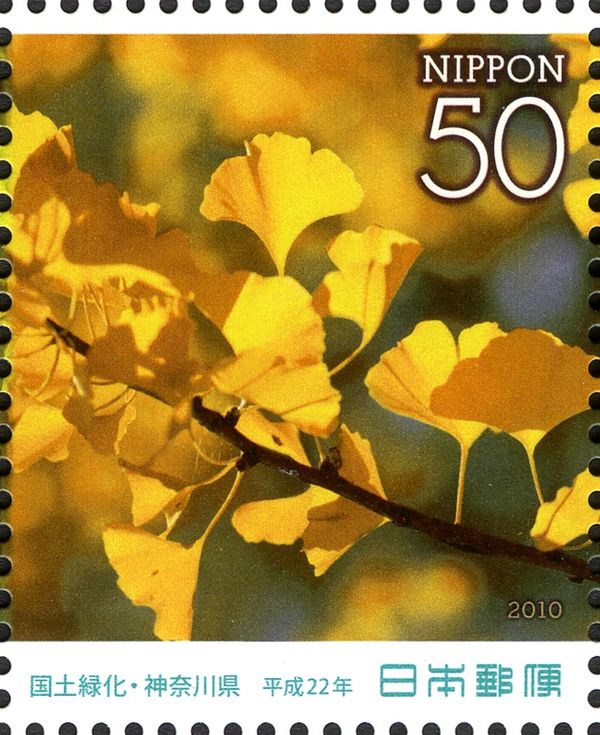 Ginkgo