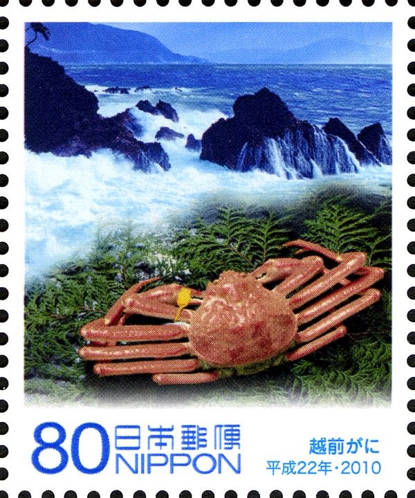 Cape Echizen & Crab