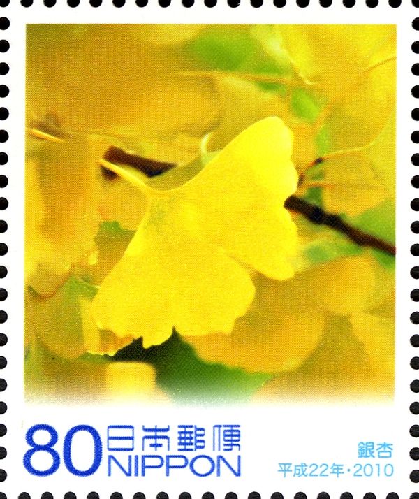 Gingko Biloba Leaves
