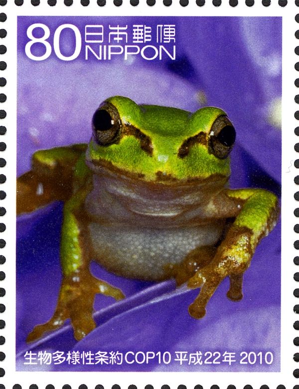 Frog & Flower