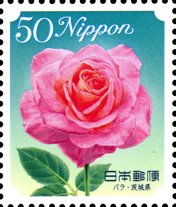 Rose - Ibaraki Prefecture