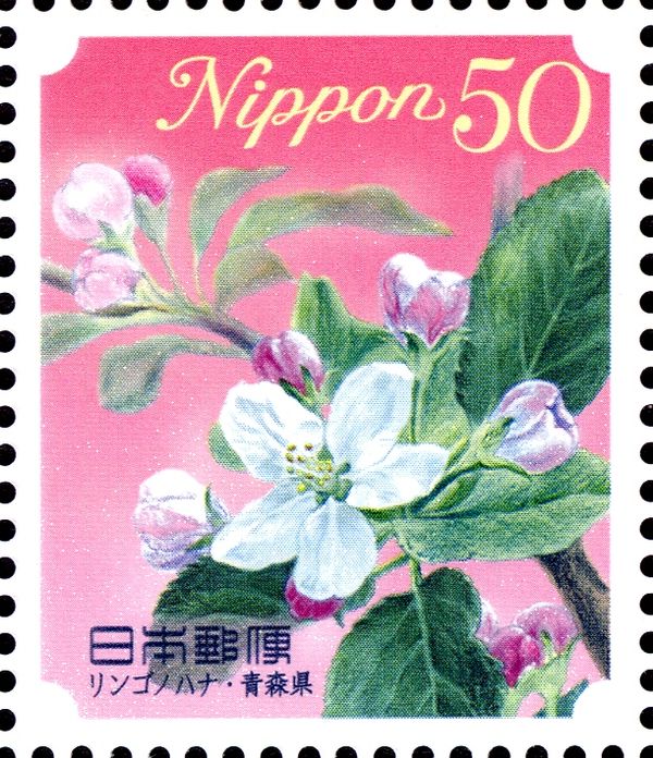 Apple Blossom - Aomori Prefecture