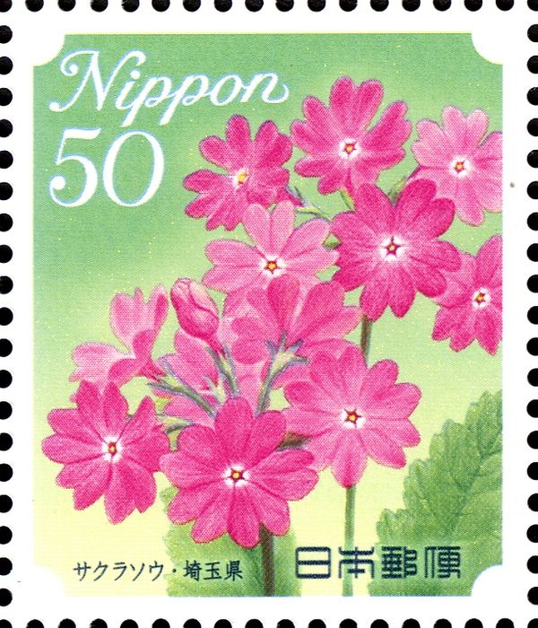 Woodland Primrose - Saitama Prefecture