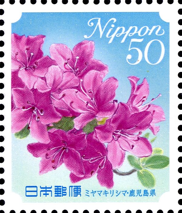 Rhododendron Kiusianum - Kagoshima Prefecture