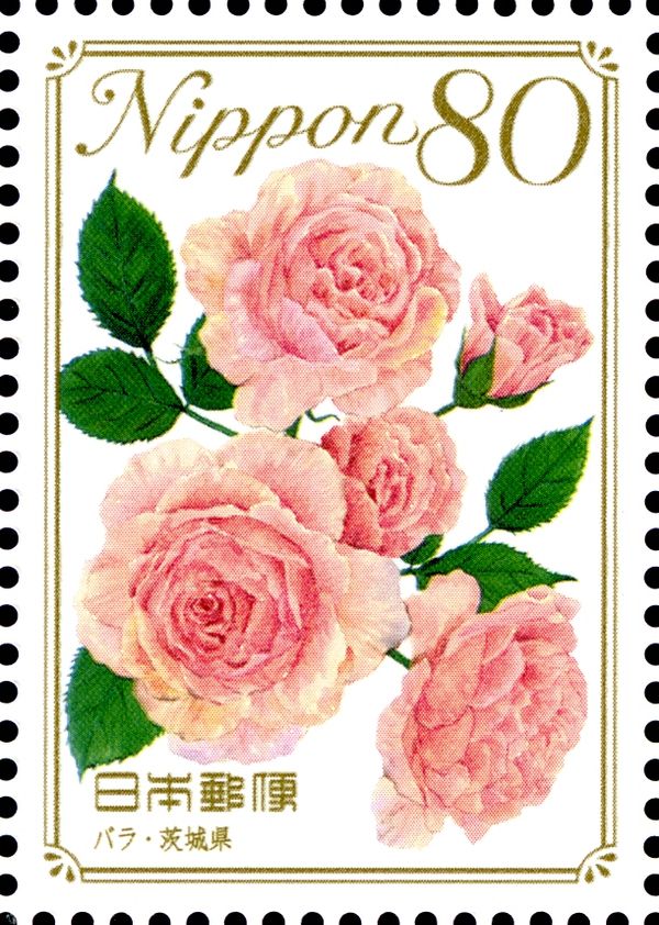 Rose - Ibaraki Prefecture