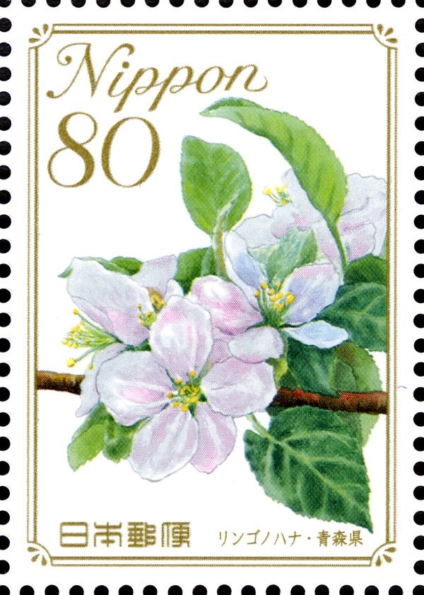 Apple Blossom - Aomori Prefecture