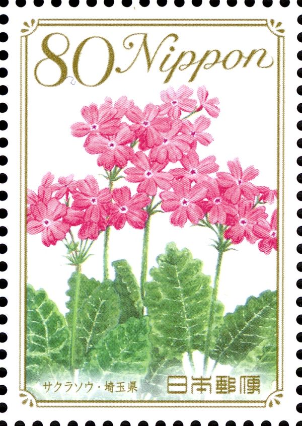 Woodland Primrose - Saitama Prefecture