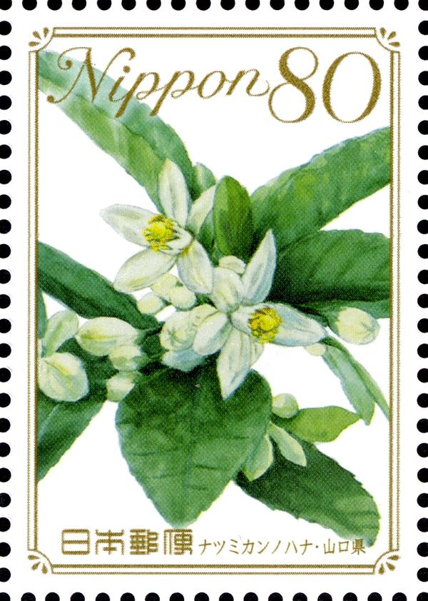 Japanese Summer Orange Blossom - Yamagushi Pref.