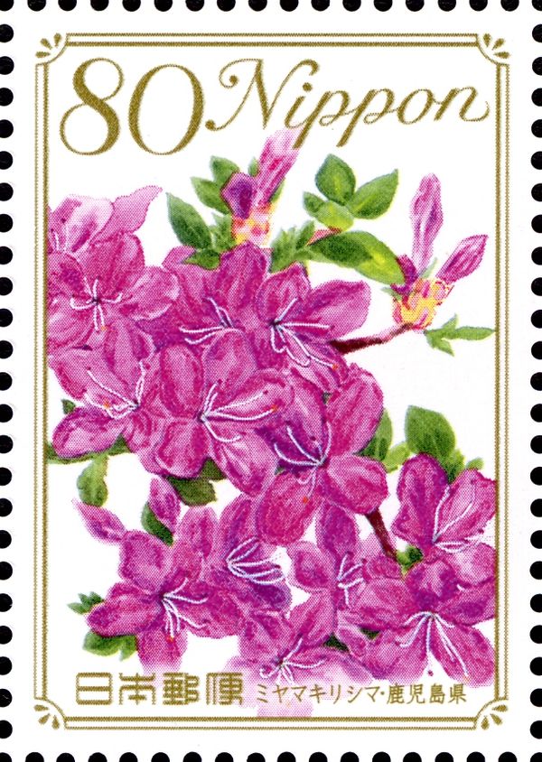 Rhododendron Kiusianum - Kagoshima Prefecture