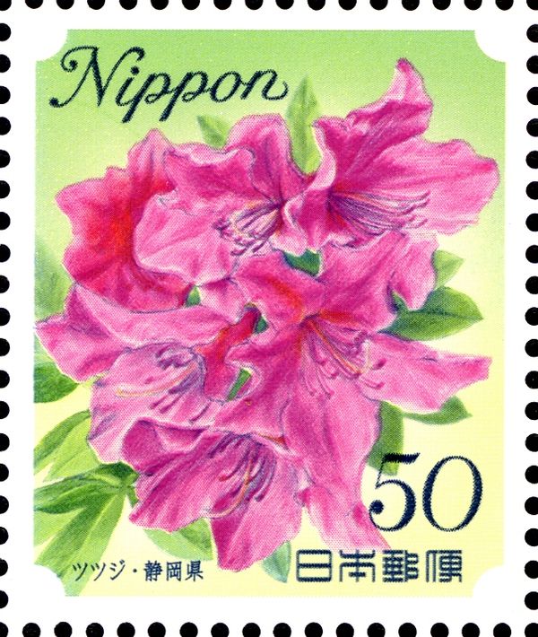 Azalea - Shizuoka Prefecture
